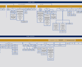 Information Architecture